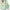 gid://shopify/Product/9874457264456_1