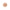gid://shopify/Product/9873589076296_1