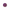 gid://shopify/Product/10295867867464_1
