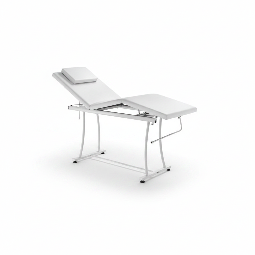 LIT 2 ARTICULATIONS PEGASO ART. 370.031