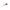 PINCEAU FUCHSIA TEKNO